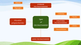 Types
Of
POLYSACCHARIDES
STORAGE
POLYSACCHARIDES
STRUCTURAL
POLYSACCHARIDES
ACIDIC POLYSACCHARIDES
Microbial
polysaccharides
Starch
Glycogen
Chitin
Hemicellulose
Pectin
Cellulose
 