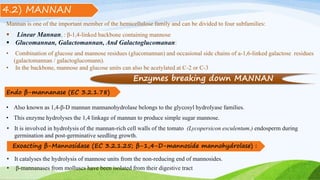 Mannan is one of the important member of the hemicellulose family and can be divided to four subfamilies:
 Linear Mannan, : β-1,4-linked backbone containing mannose
 Glucomannan, Galactomannan, And Galactoglucomanan:
• Combination of glucose and mannose residues (glucomannan) and occasional side chains of a-1,6-linked galactose residues
(galactomannan / galactoglucomann).
• In the backbone, mannose and glucose units can also be acetylated at C-2 or C-3
Endo β-mannanase (EC 3.2.1.78)
• Also known as 1,4-β-D mannan mannanohydrolase belongs to the glycosyl hydrolyase families.
• This enzyme hydrolyses the 1,4 linkage of mannan to produce simple sugar mannose.
• It is involved in hydrolysis of the mannan-rich cell walls of the tomato (Lycopersicon esculentum.) endosperm during
germination and post-germinative seedling growth.
4.2) MANNAN
Enzymes breaking down MANNAN
• β-mannanases from molluscs have been isolated from their digestive tract
• It catalyses the hydrolysis of mannose units from the non-reducing end of mannosides.
Exoacting β-Mannosidase (EC 3.2.1.25; β-1,4-D-mannoside mannohydrolase) :
 