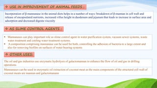  USE IN IMPROVEMENT OF ANIMAL FEEDS :
Incorporation of β-mannanase in the animal diets helps in a number of ways: breakdown of β-mannan in cell wall and
release of encapsulated nutrients, increased villus height in duodenum and jejunum that leads to increase in surface area and
adsorption and decreased digesta viscosity
 Mannanases can play important role as slime control agent in water purification system, vacuum sewer systems, waste
water treatment and cooling water treatment systems.
 A composition comprising mannanase can be used for both, controlling the adhesion of bacteria to a large extent and
also for removing biofilm on surfaces of water bearing systems
The oil and gas industries use enzymatic hydrolysis of galactomannan to enhance the flow of oil and gas in drilling
operations
Mannanases can be used in enzymatic oil extraction of coconut meat as the main components of the structural cell wall of
coconut meats are mannan and galactomanann
 AS SLIME CONTROL AGENTS :
 OTHER USES:
 