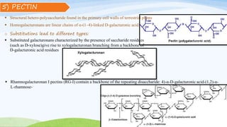 5) PECTIN
 Structural hetero-polysaccharide found in the primary cell walls of terrestrial plants
o Substitutions lead to different types:
 Homogalacturonans are linear chains of α-(1–4)-linked D-galacturonic acid.
 Substituted galacturonans characterized by the presence of saccharide residues
(such as D-xylose)give rise to xylogalacturonan branching from a backbone of
D-galacturonic acid residues
 Rhamnogalacturonan I pectins (RG-I) contain a backbone of the repeating disaccharide: 4)-α-D-galacturonic acid-(1,2)-α-
L-rhamnose-
 