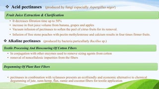 Fruit Juice Extraction & Clarification
• It decreases filtration time up to 50%
• increase in fruit juice volume from banana, grapes and apples
• Vacuum infusion of pectinases to soften the peel of citrus fruits for its removal.
• Infusion of free stone peaches with pectin methylesterase and calcium results in four times firmer fruits.
 Acid pectinases (produced by fungi espacially Aspergillus niger)
Degumming Of Plant Bast Fibers
• pectinases in combination with xylanases presents an ecofriendly and economic alternative to chemical
degumming of jute, sunn hemp, flax, ramie and coconut fibers for textile application
Textile Processing And Bioscouring Of Cotton Fibers
• In conjugation with other enzymes used to remove sizing agents from cotton
• removal of noncellulosic impurities from the fibers
 Alkaline pectinases (produced by bacteria particullarly Bacillus sp.)
 