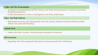 Coffee And Tea Fermentation
• accelerates tea fermentation and also destroys the foam forming property of instant tea powders
by destroying pectins
• Coffee fermentation to remove mucilaginous coat from coffee beans.
Paper And Pulp Industry
• Depolymerise pectins and subsequently lower the cationic demand of pectin solutions and the
filtrate from peroxide bleaching
Animal Feed
• reduces the feed viscosity, which increases absorption of nutrients
Oil Extraction
• degrading cell wall components like pectin enzymes promote the oil liberation
 