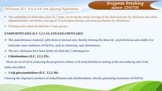  Chitinases have been divided into 2 main groups:
ENDOCHITINASES (E.C 3.2.1.14) AND EXO-CHITINASES
 The endochitinases randomly split chitin at internal sites, thereby forming the dimer di- cetylchitobiose and soluble low
molecular mass multimers of GlcNAc such as chitotriose, and chitotetraose.
 The exo- chitinases have been further divided into 2 subcategories:
o Chitobiosidases (E.C. 3.2.1.29),:
These are involved in catalyzing the progressive release of di-acetylchitobiose starting at the non-reducing end of the
chitin microfibril.
o 1-4-β-glucosaminidases (E.C. 3.2.1.30):
Cleaving the oligomeric products of endochitinases and chitobiosidases, thereby generating monomers of GlcNAc
Chitinases (E.C 3.2.2.14) are glycosyl hydrolases
 The catabolism of chitin takes place in 2 steps, involving the initial cleavage of the chitin polymer by chitinases into chitin
oligosaccharides and further cleavage to N-acetylglucosamine, and monosaccharides by chitobiases.
Enzymes breaking
down CHITIN
 