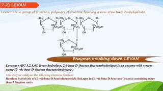 Levans are a group of fructans; polymers of fructose forming a non-structural carbohydrate,
Levanase (EC 3.2.1.65, levan hydrolase, 2,6-beta-D-fructan fructanohydrolase) is an enzyme with system
name (2->6)-beta-D-fructan fructanohydrolase :
This enzyme catalyses the following chemical reaction:
Random hydrolysis of (2->6)-beta-D-fructofuranosidic linkages in (2->6)-beta-D-fructans (levans) containing more
than 3 fructose units
7.2) LEVAN
Enzymes breaking down LEVAN
 