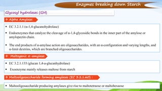 Enzymes breaking down Starch
Glycosyl hydrolases (GH)
 Alpha Amylase:
 EC 3.2.1.1 (α-1,4-glucanohydrolase)
 Endoenzymes that catalyze the cleavage of α-1,4-glycosidic bonds in the inner part of the amylose or
amylopectin chain.
 The end products of α-amylase action are oligosaccharides, with an α-configuration and varying lengths, and
α-limit dextrins, which are branched oligosaccharides.
 Maltogenic α-amylase:
 EC 3.2.1.133 (glucan 1,4-a-glucanhydrolase)
 Exoenzyme mainly releases maltose from starch
 Maltooligosaccharide producing amylases give rise to maltotetraose or maltohexaose
 Maltooligosaccharide forming amylases (EC 3.2.1.60) :
 