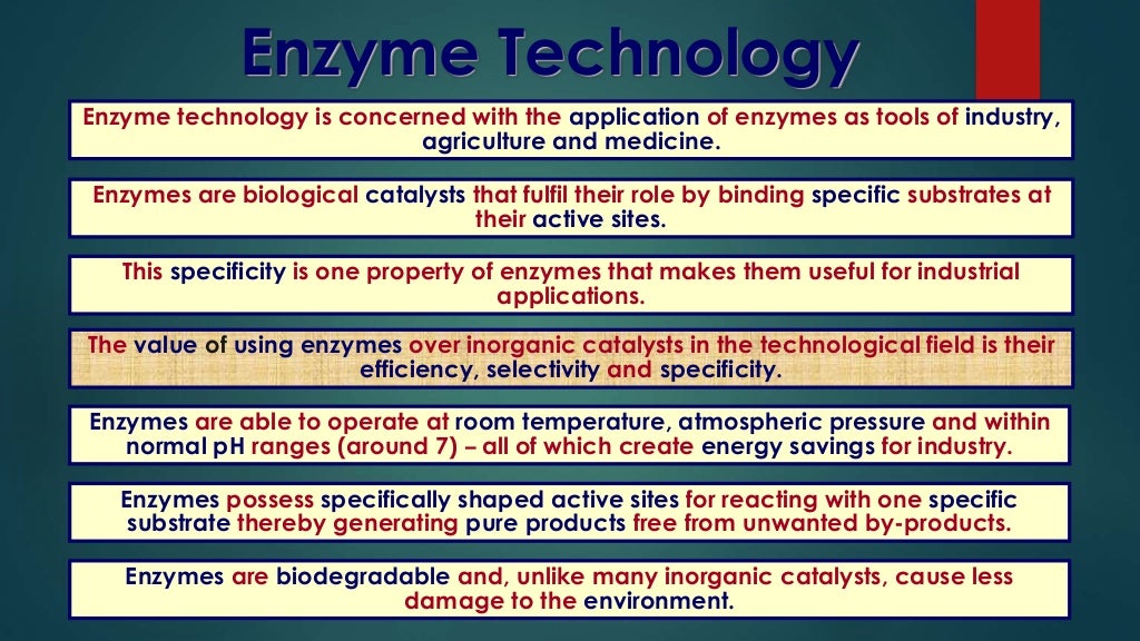 Applications of Enzymes in Food Industry