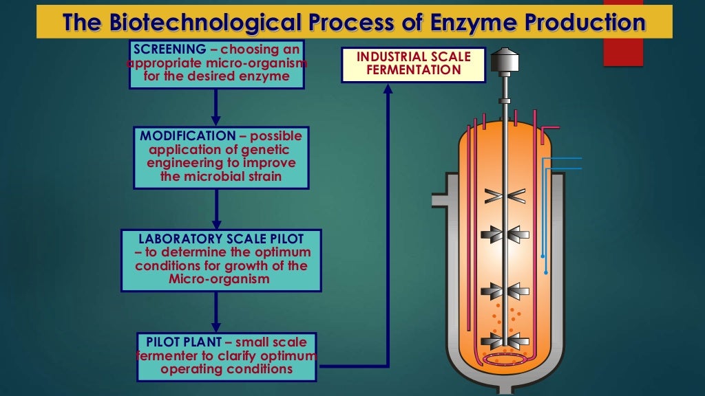 Applications of Enzymes in Food Industry