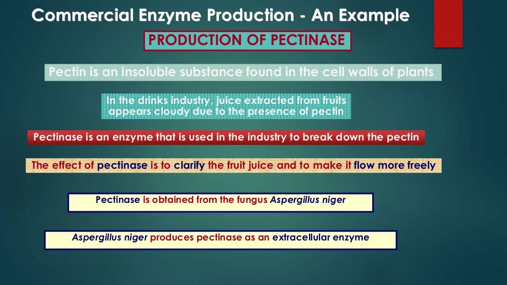 Applications of Enzymes in Food Industry