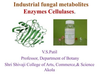 Industrial fungal metabolites
Enzymes Cellulases.
V.S.Patil
Professor, Department of Botany
Shri Shivaji College of Arts, Commerce,& Science
Akola
 