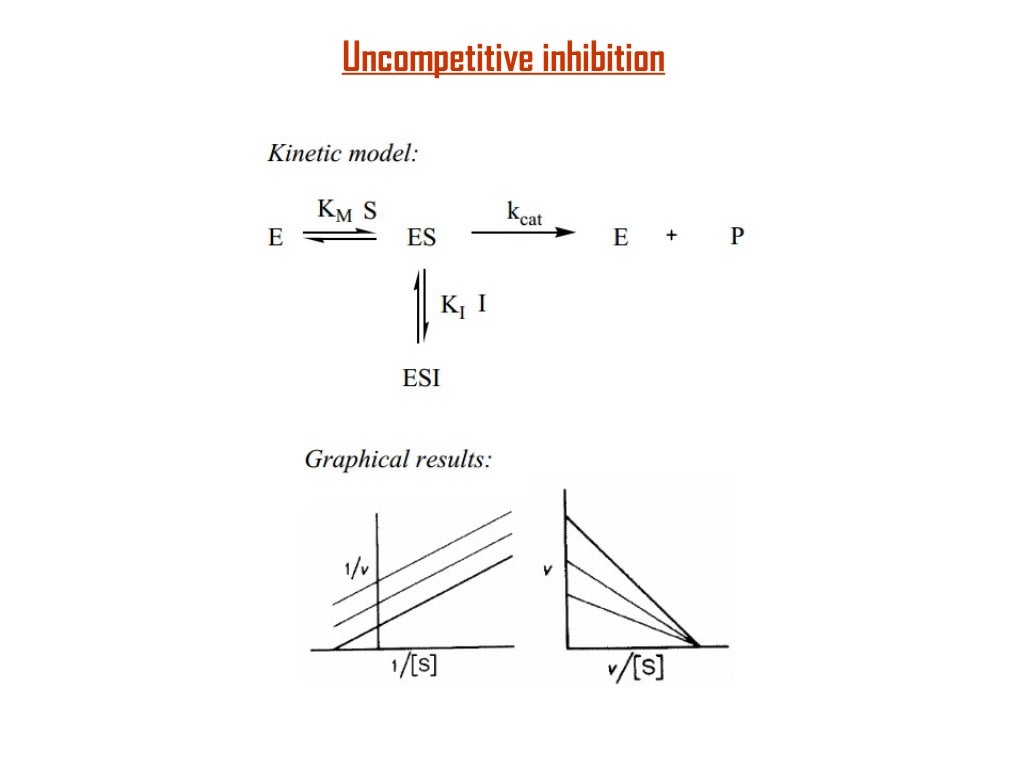 Enzymes crash course