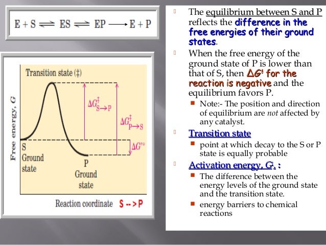 coursework on enzymes coursework on enzymes
