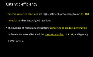 Catalytic efficiency
• Enzyme-catalyzed reactions are highly efficient, proceeding from 103–108
times faster than uncatalyzed reactions.
• The number of molecules of substrate converted to product per enzyme
molecule per second is called the turnover number, or k cat, and typically
is 102–104s-1.
 