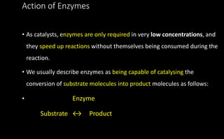 Action of Enzymes
• As catalysts, enzymes are only required in very low concentrations, and
they speed up reactions without themselves being consumed during the
reaction.
• We usually describe enzymes as being capable of catalysing the
conversion of substrate molecules into product molecules as follows:
• Enzyme
Substrate ↔ Product
 