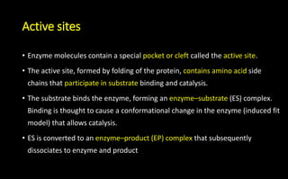 Active sites
• Enzyme molecules contain a special pocket or cleft called the active site.
• The active site, formed by folding of the protein, contains amino acid side
chains that participate in substrate binding and catalysis.
• The substrate binds the enzyme, forming an enzyme–substrate (ES) complex.
Binding is thought to cause a conformational change in the enzyme (induced fit
model) that allows catalysis.
• ES is converted to an enzyme–product (EP) complex that subsequently
dissociates to enzyme and product
 