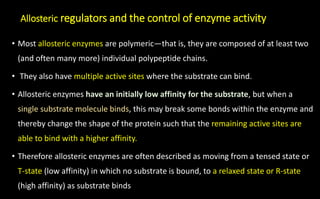 • Most allosteric enzymes are polymeric—that is, they are composed of at least two
(and often many more) individual polypeptide chains.
• They also have multiple active sites where the substrate can bind.
• Allosteric enzymes have an initially low affinity for the substrate, but when a
single substrate molecule binds, this may break some bonds within the enzyme and
thereby change the shape of the protein such that the remaining active sites are
able to bind with a higher affinity.
• Therefore allosteric enzymes are often described as moving from a tensed state or
T-state (low affinity) in which no substrate is bound, to a relaxed state or R-state
(high affinity) as substrate binds
Allosteric regulators and the control of enzyme activity
 
