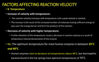 • B. Temperature
• Increase of velocity with temperature:
• The reaction velocity increases with temperature until a peak velocity is reached .
• This increase is the result of the increased number of molecules having sufficient energy to
pass over the energy barrier and form the products of the reaction.
• Decrease of velocity with higher temperature:
• Further elevation of the temperature causes a decrease in reaction velocity as a result of
temperature induced denaturation of the enzyme
• Nb; The optimum temperature for most human enzymes is between 35°C
and 40°C.
• Human enzymes start to denature at temperatures above 40°C, but thermophilic
bacteria found in the hot springs have optimum temperatures of 70°C.
FACTORS AFFECTING REACTION VELOCITY
 
