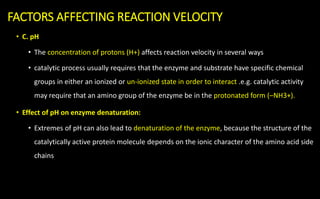 • C. pH
• The concentration of protons (H+) affects reaction velocity in several ways
• catalytic process usually requires that the enzyme and substrate have specific chemical
groups in either an ionized or un-ionized state in order to interact .e.g. catalytic activity
may require that an amino group of the enzyme be in the protonated form (–NH3+).
• Effect of pH on enzyme denaturation:
• Extremes of pH can also lead to denaturation of the enzyme, because the structure of the
catalytically active protein molecule depends on the ionic character of the amino acid side
chains
FACTORS AFFECTING REACTION VELOCITY
 