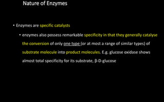 Nature of Enzymes
• Enzymes are specific catalysts
• enzymes also possess remarkable specificity in that they generally catalyse
the conversion of only one type (or at most a range of similar types) of
substrate molecule into product molecules. E.g. glucose oxidase shows
almost total specificity for its substrate, β-D-glucose
 