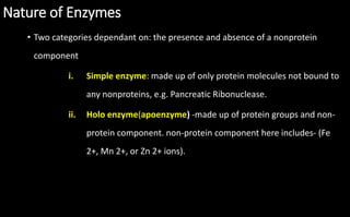 Nature of Enzymes
• Two categories dependant on: the presence and absence of a nonprotein
component
i. Simple enzyme: made up of only protein molecules not bound to
any nonproteins, e.g. Pancreatic Ribonuclease.
ii. Holo enzyme(apoenzyme) -made up of protein groups and non-
protein component. non-protein component here includes- (Fe
2+, Mn 2+, or Zn 2+ ions).
 