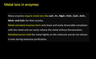Metal ions in enzymes
Many enzymes require metal ions like ca2+, K+, Mg2+, Fe2+, Cu2+, Zn2+,
Mn2+ and Co2+ for their activity.
Metal-activated enzymes-form only loose and easily dissociable complexes
with the metal and can easily release the metal without Denaturation.
Metalloenzymes hold the metal tightly on the molecule and do not release
it even during extensive purification.
 