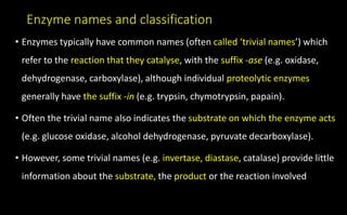 Enzyme names and classification
• Enzymes typically have common names (often called ‘trivial names’) which
refer to the reaction that they catalyse, with the suffix -ase (e.g. oxidase,
dehydrogenase, carboxylase), although individual proteolytic enzymes
generally have the suffix -in (e.g. trypsin, chymotrypsin, papain).
• Often the trivial name also indicates the substrate on which the enzyme acts
(e.g. glucose oxidase, alcohol dehydrogenase, pyruvate decarboxylase).
• However, some trivial names (e.g. invertase, diastase, catalase) provide little
information about the substrate, the product or the reaction involved
 