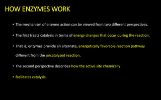 HOW ENZYMES WORK
• The mechanism of enzyme action can be viewed from two different perspectives.
• The first treats catalysis in terms of energy changes that occur during the reaction.
• That is, enzymes provide an alternate, energetically favorable reaction pathway
different from the uncatalyzed reaction.
• The second perspective describes how the active site chemically
• facilitates catalysis.
 