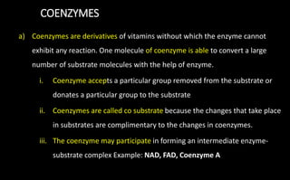 COENZYMES
a) Coenzymes are derivatives of vitamins without which the enzyme cannot
exhibit any reaction. One molecule of coenzyme is able to convert a large
number of substrate molecules with the help of enzyme.
i. Coenzyme accepts a particular group removed from the substrate or
donates a particular group to the substrate
ii. Coenzymes are called co substrate because the changes that take place
in substrates are complimentary to the changes in coenzymes.
iii. The coenzyme may participate in forming an intermediate enzyme-
substrate complex Example: NAD, FAD, Coenzyme A
 