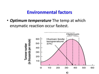 Environmental factors
• Optimum temperature The temp at which
enzymatic reaction occur fastest.
 