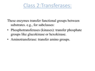 Class 2:Transferases:
These enzymes transfer functional groups between
substrates. e.g., for subclasses:
• Phosphotransferases (kinases): transfer phosphate
groups like glucokinase or hexokinase.
• Aminotransferase: transfer amino groups.
 