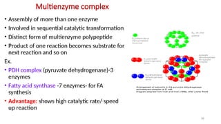 Multienzyme Complex Simple Enzymes_Dr._PNB-_5,7,12,14_Nov-2025.pptx
