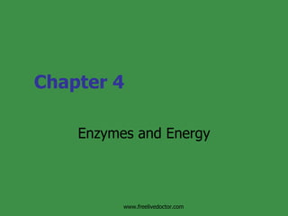 Chapter 4 Enzymes and Energy www.freelivedoctor.com 