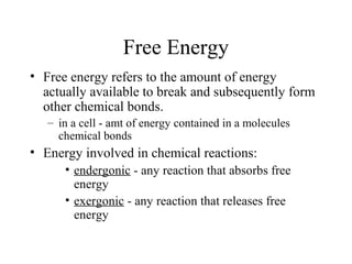 Free Energy
• Free energy refers to the amount of energy
actually available to break and subsequently form
other chemical bonds.
– in a cell - amt of energy contained in a molecules
chemical bonds
• Energy involved in chemical reactions:
• endergonic - any reaction that absorbs free
energy
• exergonic - any reaction that releases free
energy
 