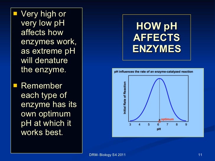 Enzymes for S4 2011IGCSE LEVEL