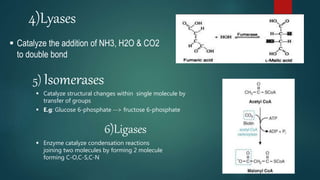 4)Lyases
 Catalyze the addition of NH3, H2O & CO2
to double bond
5) Isomerases
 Catalyze structural changes within single molecule by
transfer of groups
 E.g: Glucose 6-phosphate --> fructose 6-phosphate
6)Ligases
 Enzyme catalyze condensation reactions
joining two molecules by forming 2 molecule
forming C-O,C-S,C-N
 