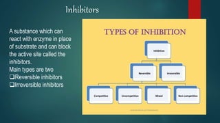 Inhibitors
A substance which can
react with enzyme in place
of substrate and can block
the active site called the
inhibitors.
Main types are two
Reversible inhibitors
Irreversible inhibitors
 