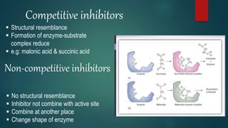 Competitive inhibitors
 Structural resemblance
 Formation of enzyme-substrate
complex reduce
 e.g: malonic acid & succinic acid
Non-competitive inhibitors
 No structural resemblance
 Inhibitor not combine with active site
 Combine at another place
 Change shape of enzyme
 