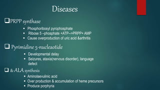 Diseases
PRPP synthase
 Phosphoribosyl pyrophosphate
 Ribose 5 –phosphate +ATP-->PRPP+ AMP
 Cause overproduction of uric acid &arthritis
 Pyrimidine 5-nucleaotide
 Developmental delay
 Seizures, ataxia(nervous disorder), language
defect
 &-ALAsynthesis
 Aminolaevulinic acid
 Over production & accumulation of heme precursors
 Produce porphyria
 