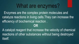 What are enzymes?
Enzymes are the complex protein molecules and
catalyze reactions in living cells.They can increase the
efficiency of biochemical reaction .
OR
A catalyst reagent that increase the velocity of chemical
reactions of other substances without being destroyed
itself.
 