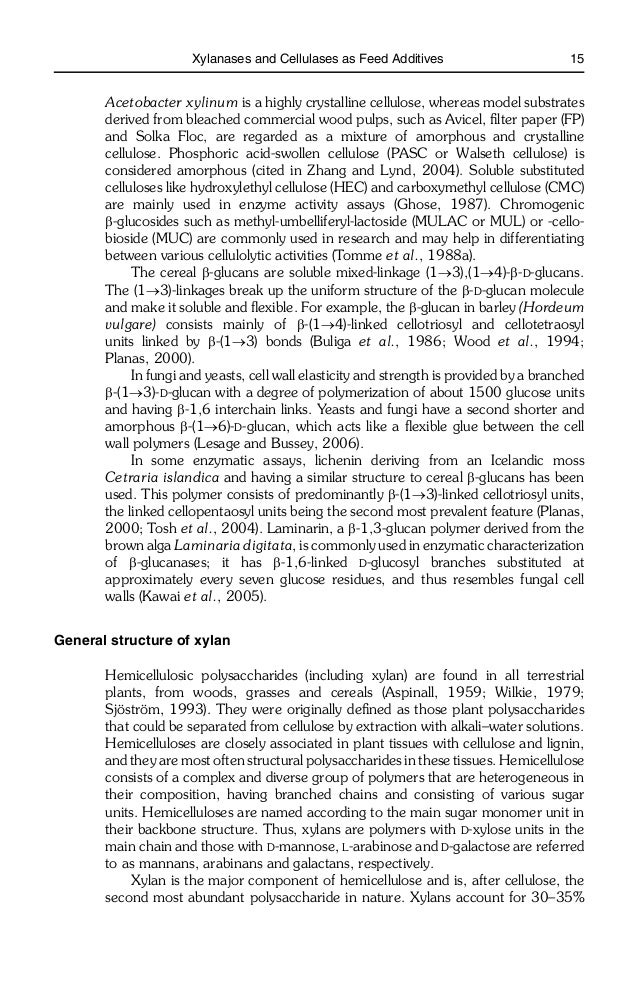 about business essay earthquake preparedness