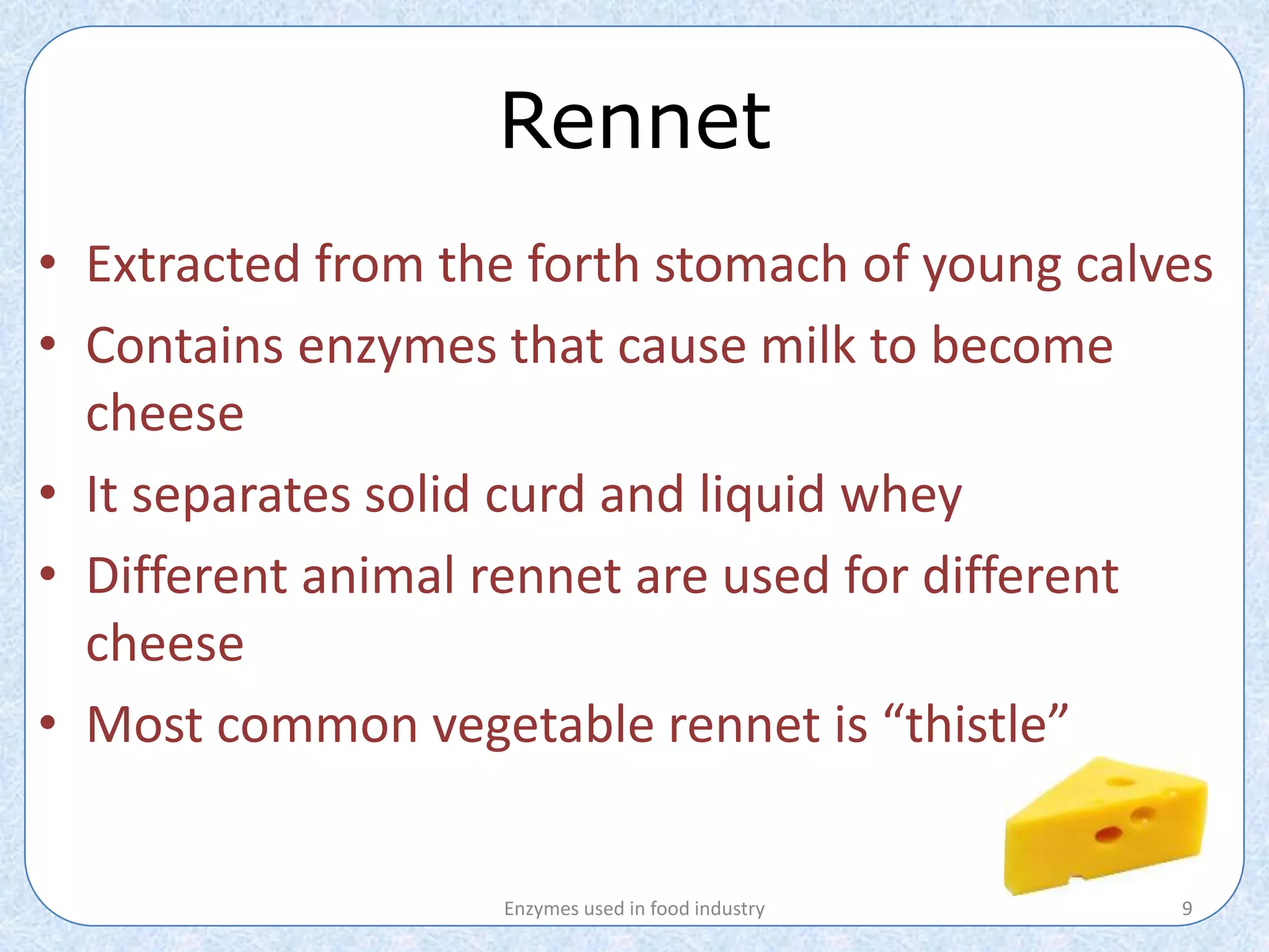 Application of Enzymes in food industry PPT