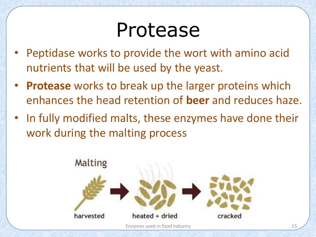 Application of Enzymes in food industry