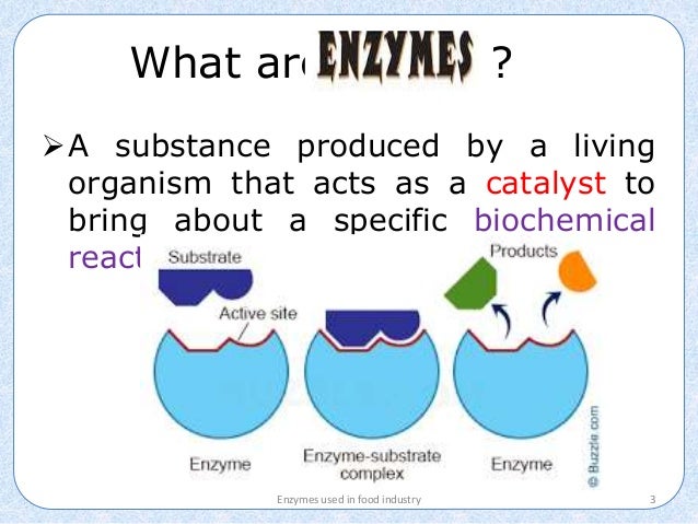 what are enzymes used for in industry what are enzymes used for in industry