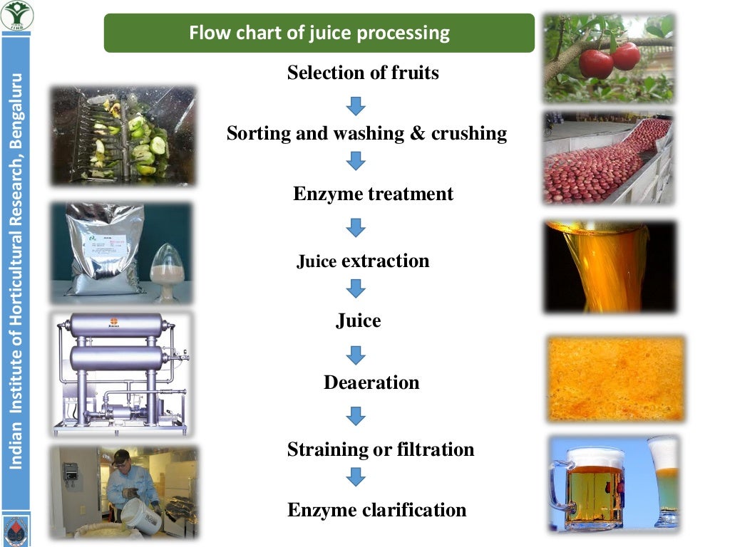 Application of Enzymes in food industry