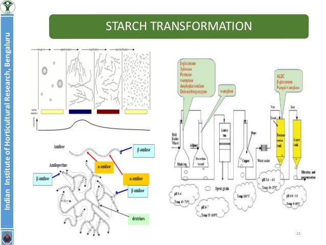 Application of Enzymes in food industry