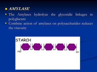  AMYLASE
 The Amylases hydrolyze the glycosidic linkages in
polyglucans
 Combine action of amylases on polysaccharides reduces
the viscosity
 
