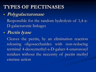 TYPES OF PECTINASES
 Polygalacturonase
Responsible for the random hydrolysis of 1,4-α-
D-galacturonic linkages
 Pectin lyase
Cleaves the pectin, by an elimination reaction
releasing oligosaccharides with non-reducing
terminal 4-deoxymethyl-a-D-galact-4-enuronosyl
residues without the necessity of pectin methyl
esterase action
 