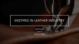 ENZYMES IN LEATHER INDUSTRY
Aditi Pande
Dual IX
A70123116001
1
 