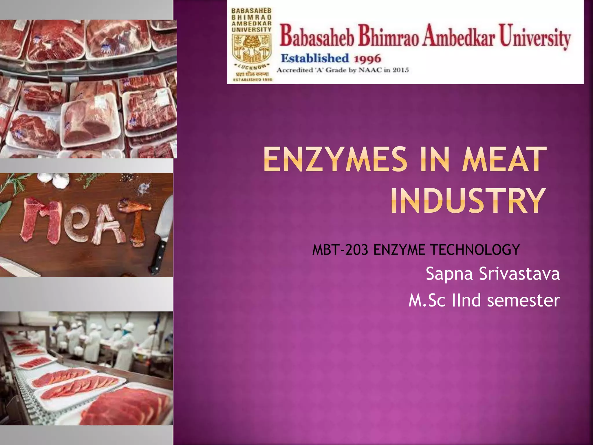 Enzymes in meat industry PPT