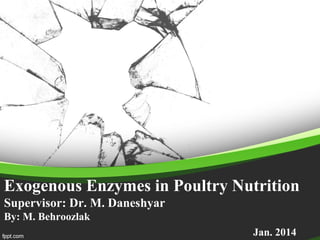 Exogenous Enzymes in Poultry Nutrition
Supervisor: Dr. M. Daneshyar
By: M. Behroozlak
Jan. 2014
 