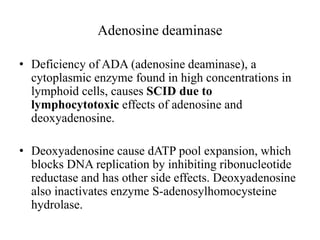 Adenosine deaminase
• Deficiency of ADA (adenosine deaminase), a
cytoplasmic enzyme found in high concentrations in
lymphoid cells, causes SCID due to
lymphocytotoxic effects of adenosine and
deoxyadenosine.
• Deoxyadenosine cause dATP pool expansion, which
blocks DNA replication by inhibiting ribonucleotide
reductase and has other side effects. Deoxyadenosine
also inactivates enzyme S-adenosylhomocysteine
hydrolase.
 